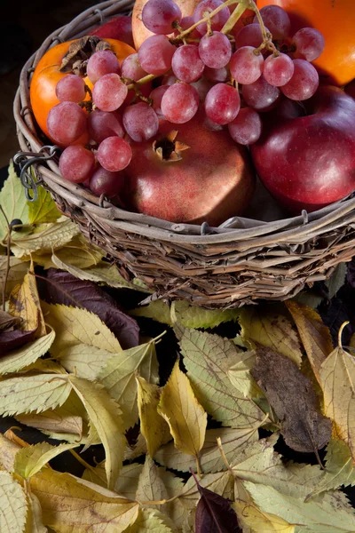 秋の果実の完全な枝編み細工品バスケット — ストック写真