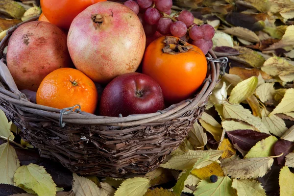秋の果実の完全な枝編み細工品バスケット — ストック写真