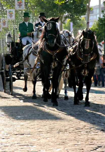 Carrozza per le strade di Siviglia — Foto Stock