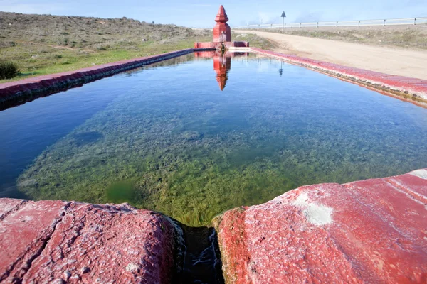 Fontaine pour bétail — Photo