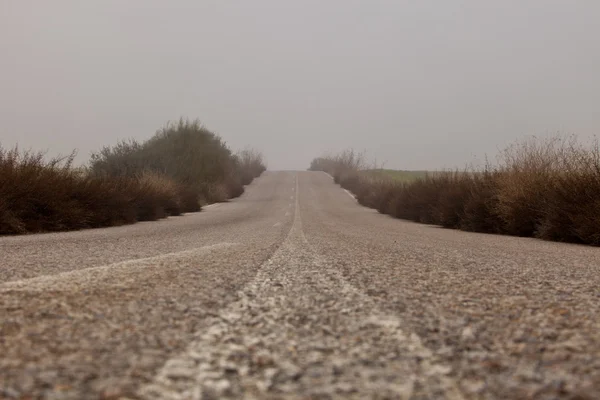 Asfalt yol bir sonbahar yoğun sis içinde — Stok fotoğraf