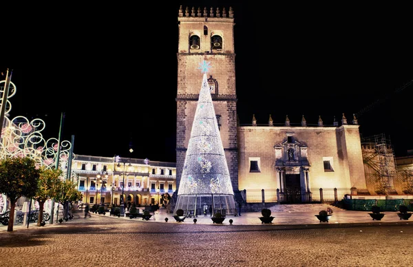 大教堂广场与圣诞树 — 图库照片