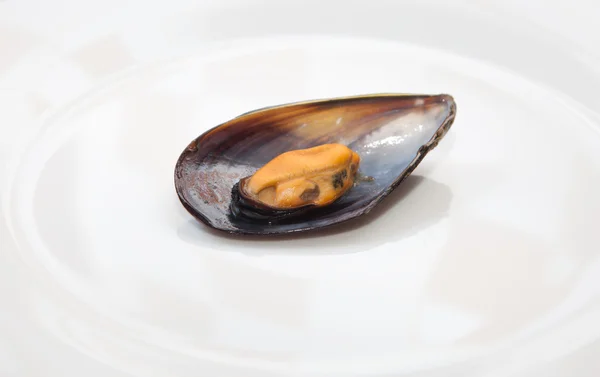 Detail view of mussel boiled — Stock Photo, Image