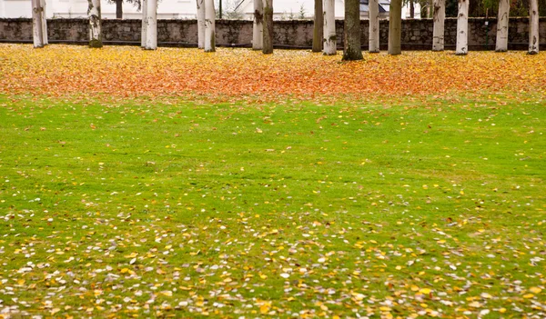 Fondo de otoño — Foto de Stock