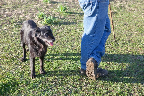 Shepherd man with his dog — Stock Photo, Image