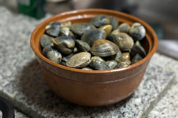 Vongole fresche di manila crude — Foto Stock