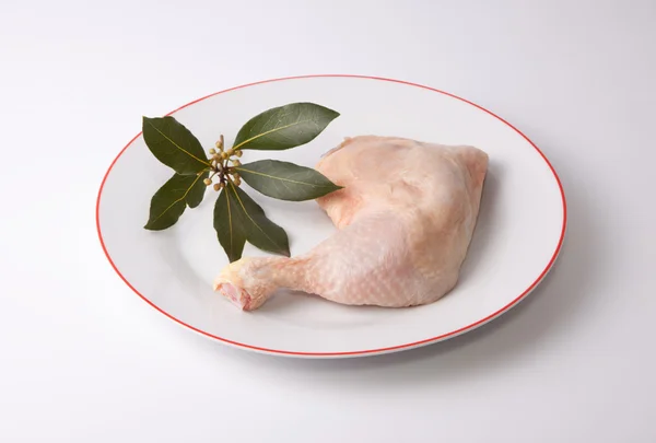 Chicken leg with bay branch — Stock Photo, Image