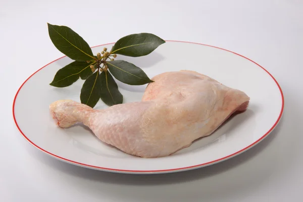 Chicken leg with bay branch — Stock Photo, Image