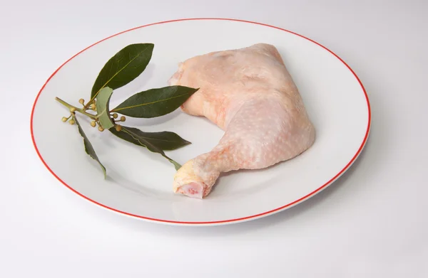 Chicken leg with bay branch — Stock Photo, Image