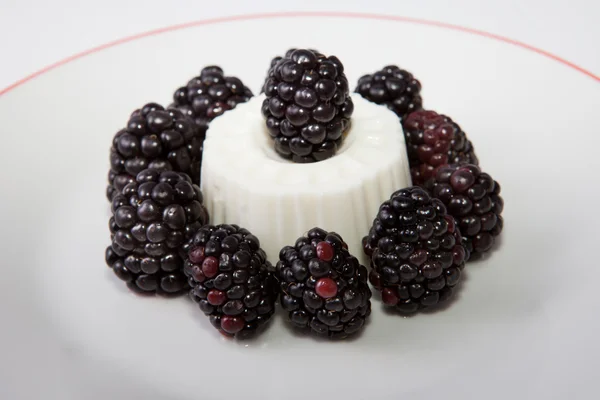 Quark mit Brombeeren — Stockfoto