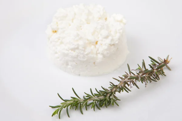 Granulated cottage cheese with rosemary — Stock Photo, Image