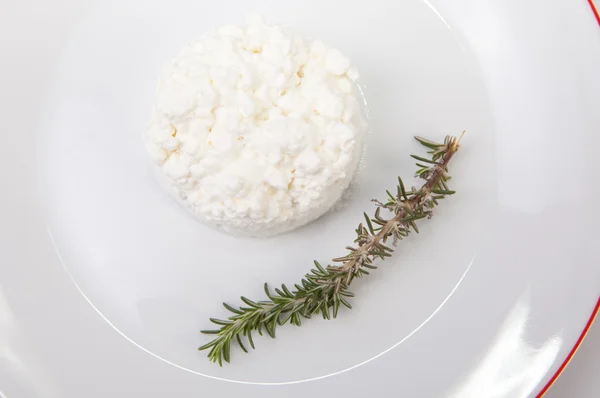 Granulated cottage cheese with rosemary — Stock Photo, Image