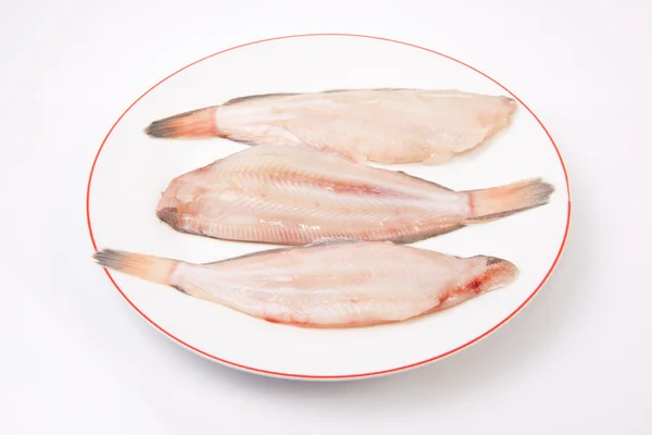 Raw sole fish — Stock Photo, Image