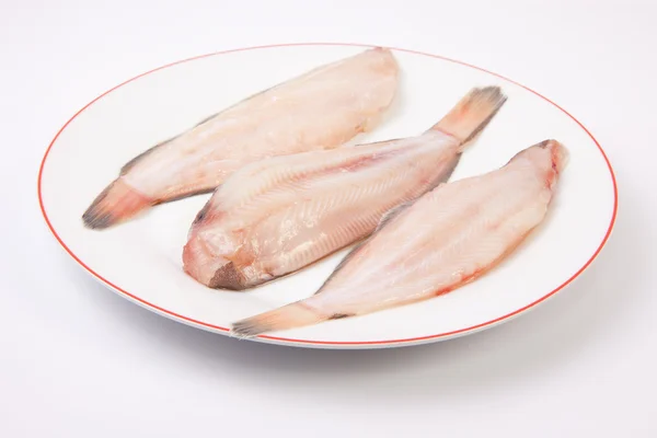 Raw sole fish — Stock Photo, Image