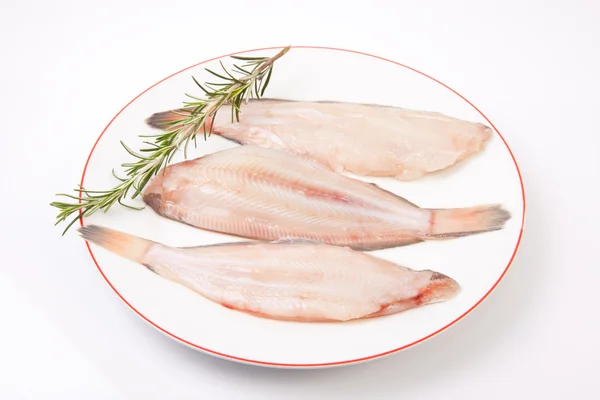 Raw sole fish with rosemary — Stock Photo, Image