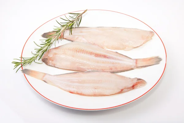 Raw sole fish with rosemary — Stock Photo, Image