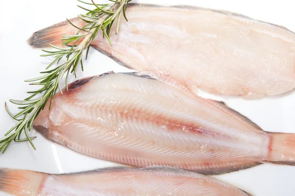 Raw sole fish with rosemary — Stock Photo, Image