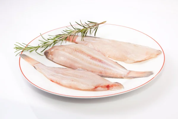 Raw sole fish with rosemary — Stock Photo, Image