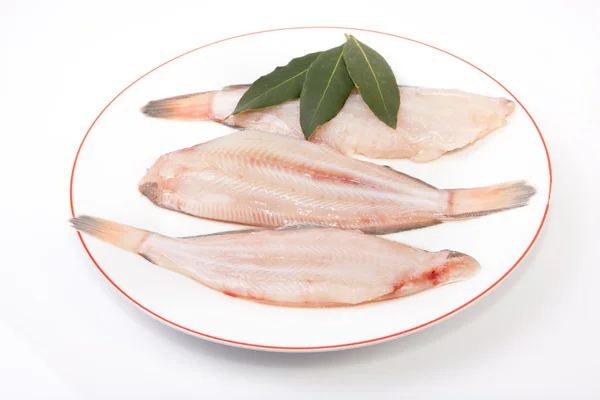 Raw sole fish with bay branch — Stock Photo, Image