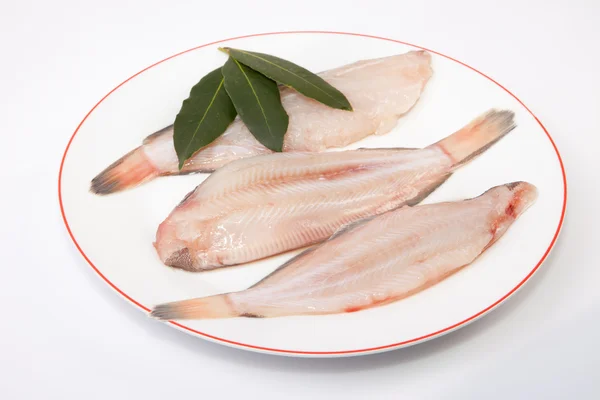 Raw sole fish with bay branch — Stock Photo, Image