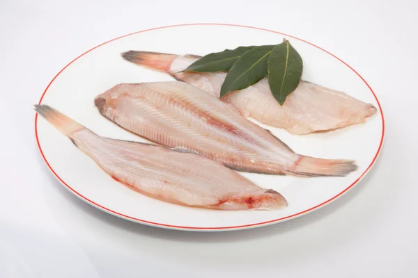 Raw sole fish with bay branch — Stock Photo, Image