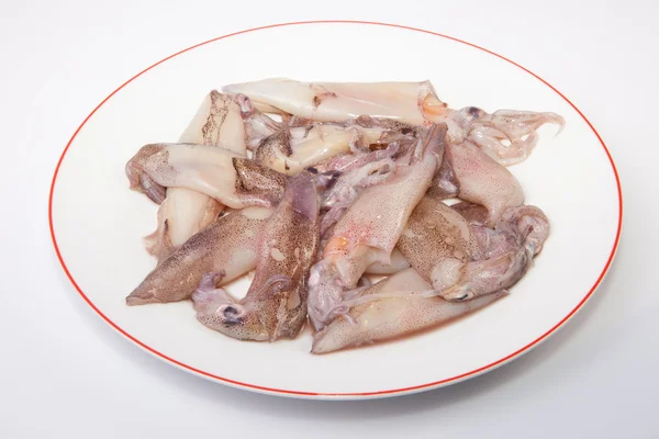 Piccoli calamari freschi — Foto Stock