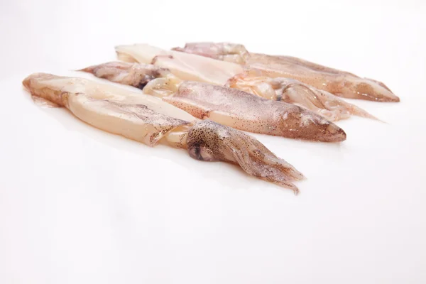 Row of small freshly squids — Stock Photo, Image