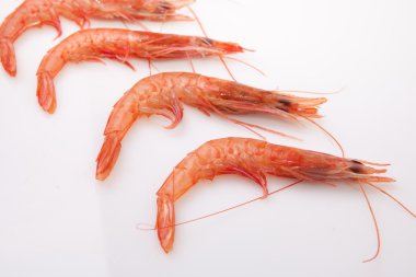 Row of spanish rice shrimps clipart