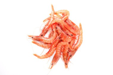 İspanyol rice karides