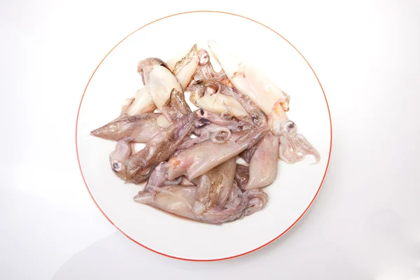 Small freshly squids — Stock Photo, Image