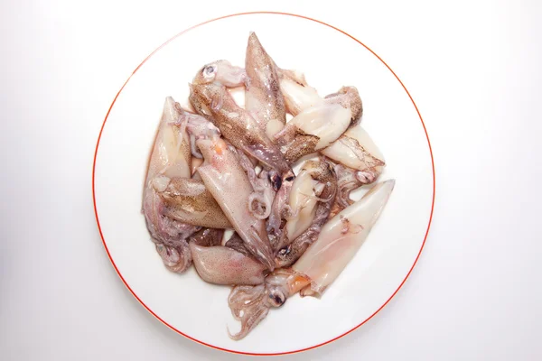 Small freshly squids — Stock Photo, Image