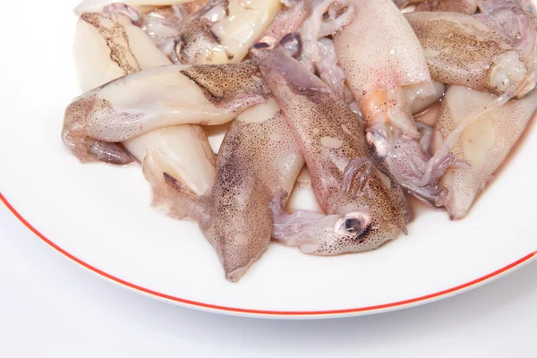 Small freshly squids — Stock Photo, Image