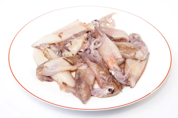 Small freshly squids — Stock Photo, Image