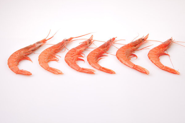 Ряд испанских рисовых креветок
