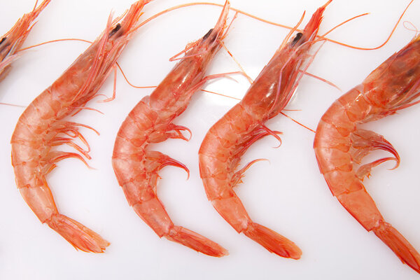 Ряд испанских рисовых креветок
