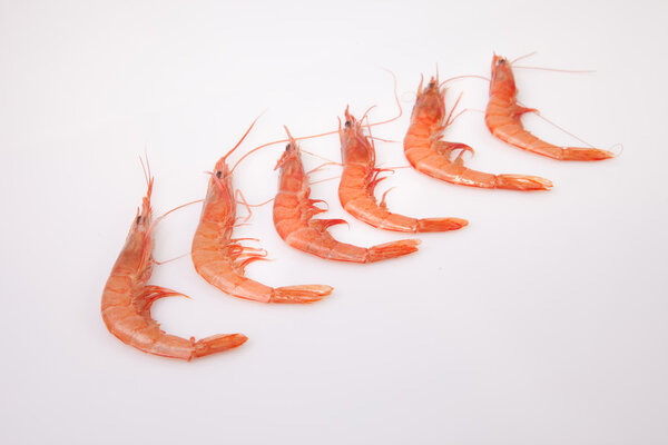 Ряд испанских рисовых креветок
