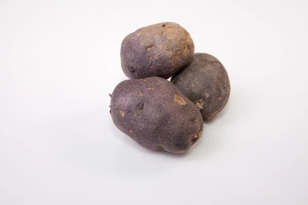 Batata vitelotte — Fotografia de Stock