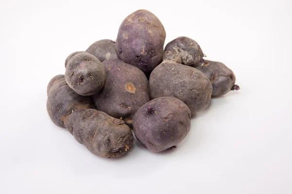 Mão cheia de batatas vitelotte — Fotografia de Stock