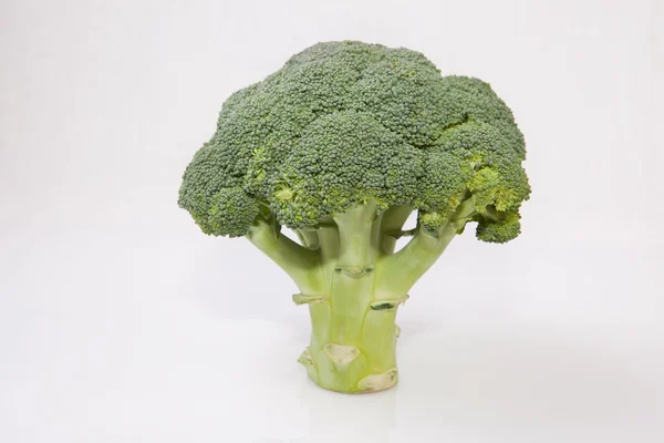 Whole broccoli plant — Stock Photo, Image