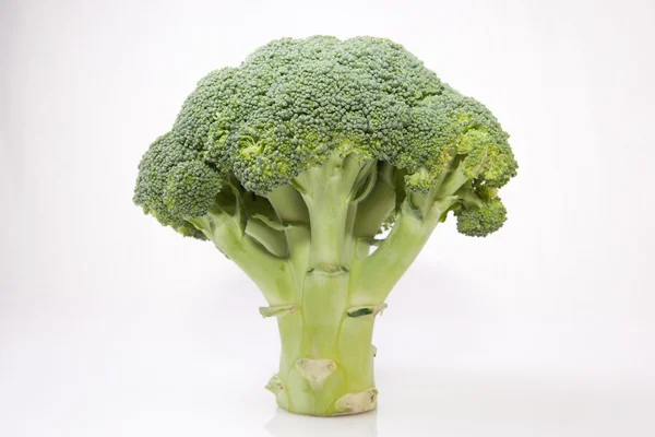 Whole broccoli plant — Stock Photo, Image