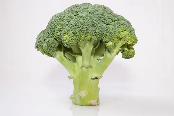 Whole broccoli plant — Stock Photo, Image