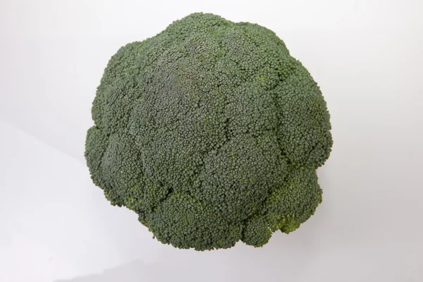Pianta di broccoli interi — Foto Stock