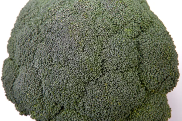 Whole broccoli plant — Stock Photo, Image