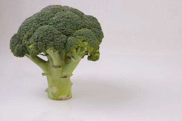 Whole broccoli plant — Stock Photo, Image