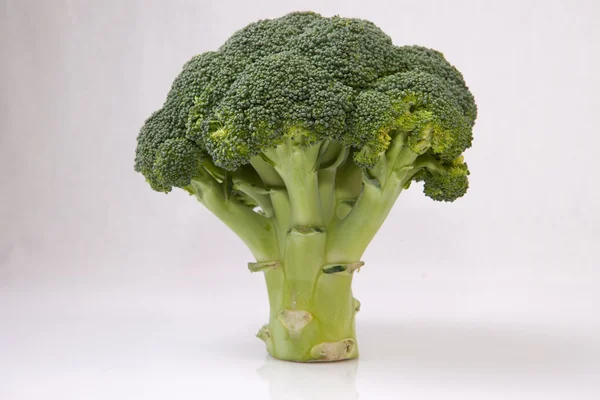 Whole broccoli plant — Stock Photo, Image