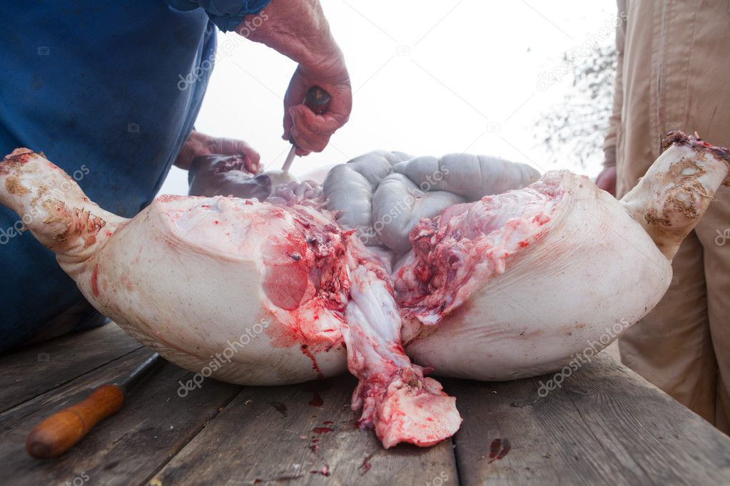Carving-up the pig