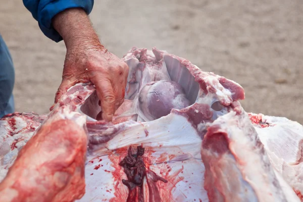 Разрезание свиньи — стоковое фото