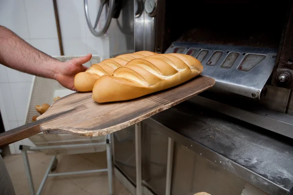 Heißes, frisch gebackenes Brot — Stockfoto