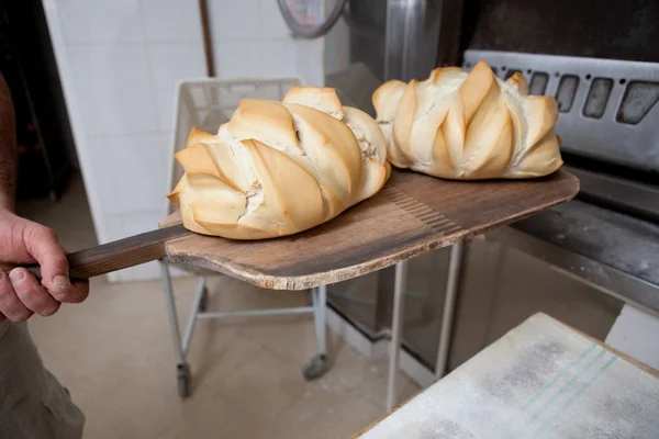 Dois grandes pães — Fotografia de Stock