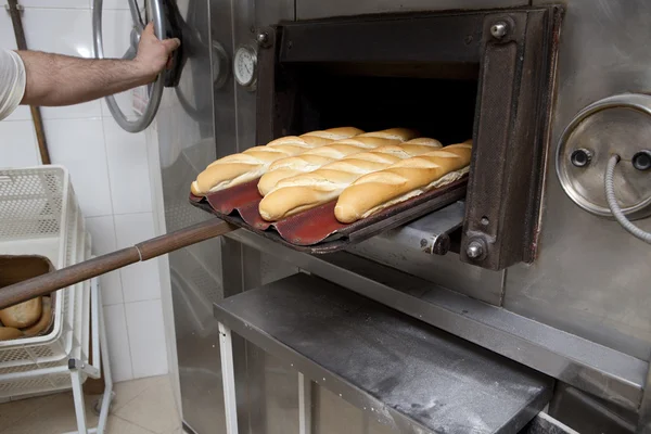 Pão fresco assado — Fotografia de Stock